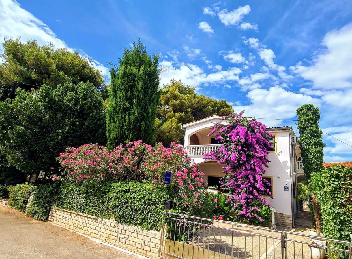 Apartment Luna Водице Экстерьер фото